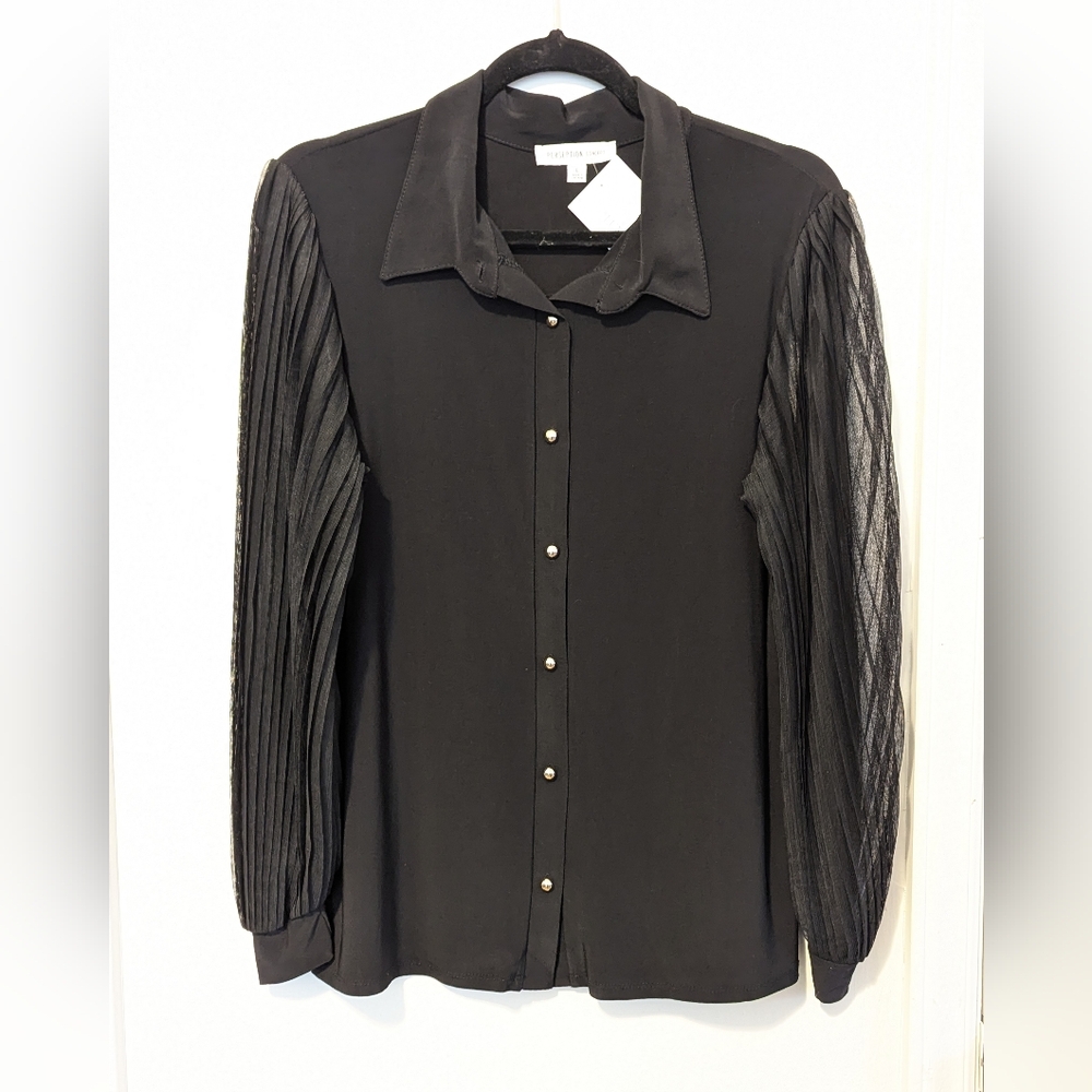 Black Sheer Pleated Sleeves Blouse
